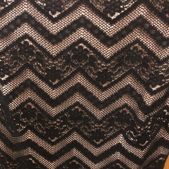 NWT JAX dress - Size 4 - black lace details with attached nude lining - Picture 4 of 8